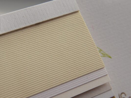 curious fussilier white gold