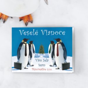 novorocenka 108vp p 1