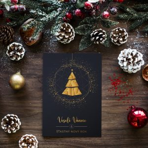 novorocenka 264 mockup 1