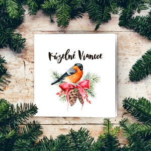 novorocenka 46vp p 1 1