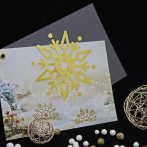 novorocenka IMG 6573 1024x683 jpg 75 1