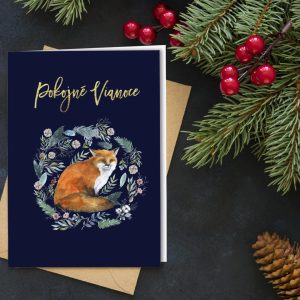 novorocenka VP200 all 1