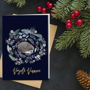 novorocenka VP204 all 1