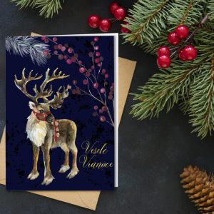 novorocenka VP206 all 1