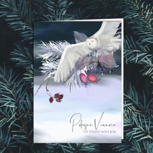 novorocenka VP223 all 1