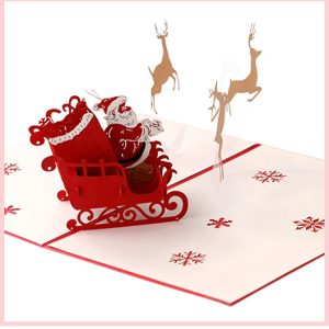 novorocenka santa na sanich 2