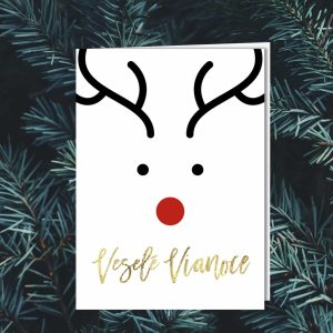 novorocenka vp241 all 1