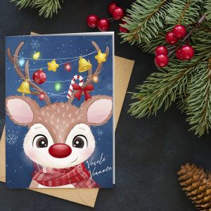 novorocenka vp245 all 1