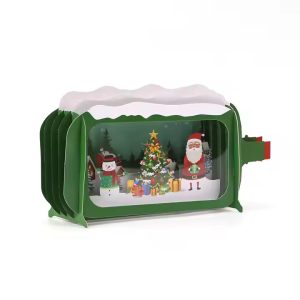 novorocenky vanoce v lahvi 4