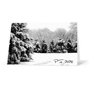 novorocenka 129vp cz